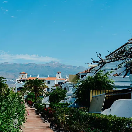 1bdr Sunny Terrace